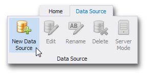 DataBinding_NewDataSource