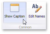Layout_ShowCaption_Ribbon