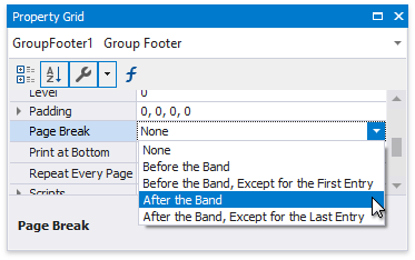 eurd-win-pageinfo-pagebreak