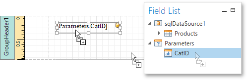 EUD_WpfReportDesigner_Parameters_1