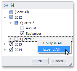 EU_XtraPivotGrid_HierarchicalFilterContextMenu