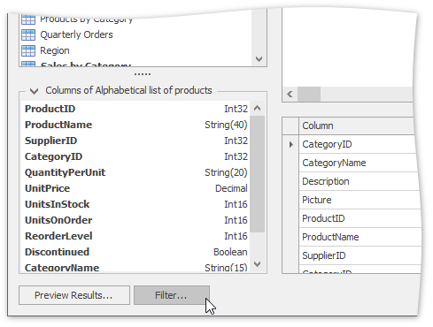 snap-query-designer-filter