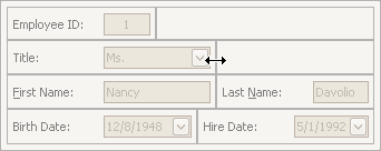 EU_XtraLayout_LayoutControl_ResizeItem