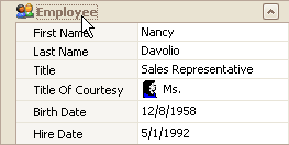 EU_XtraVerticalGrid_CategoryRow