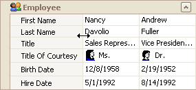 EU_XtraVerticalGrid_ResizeHeaderColumn