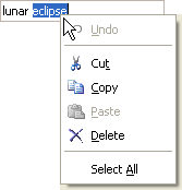 EU_XtraEditors_ContextMenu
