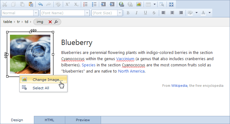 ASPxHtmlEditor-DesignView