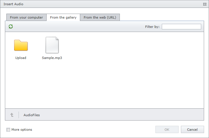 EUD_InsertAudio_fromGallery