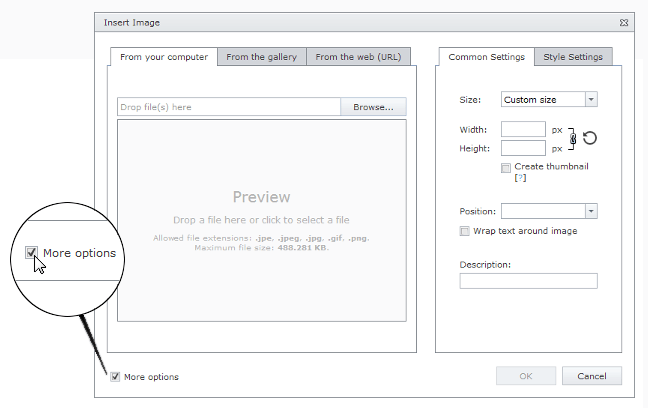 EUD_InsertImage_MoreOptions