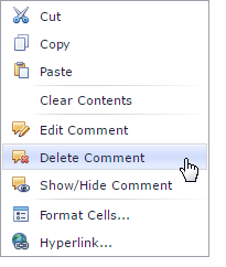 EUD_Spreadsheet_DeleteComment_Context