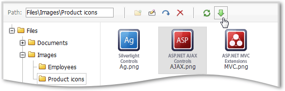 ASPxFileManager-download2.png