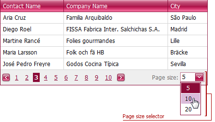 ASPxGridView_page_size.png