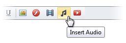 EUD_InsertAudioButton