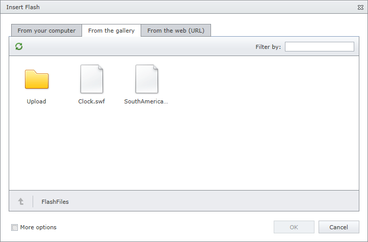 EUD_InsertFlash_Ellipsis