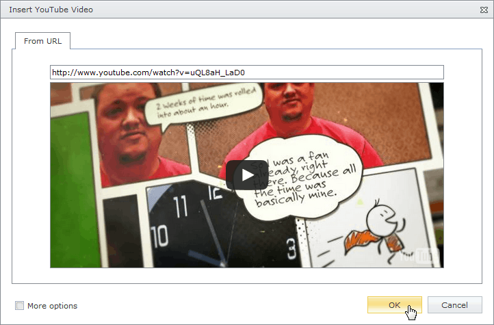 EUD_InsertYTVideo_Insert
