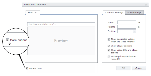 EUD_InsertYTVideo_MoreOptions