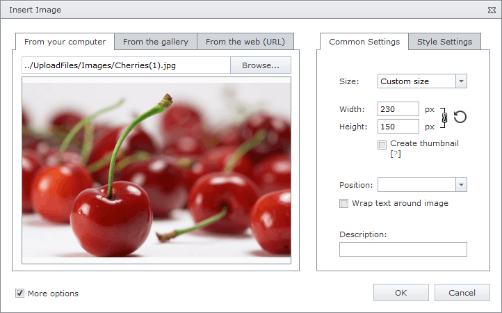 ASPxHtmlEditor-Insertdialog