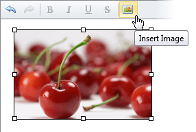 ASPxHtmlEditor-Images-Modifying-Button
